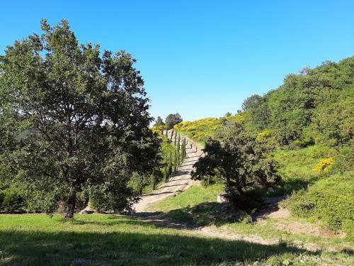 Tuscany Villa Galearpe