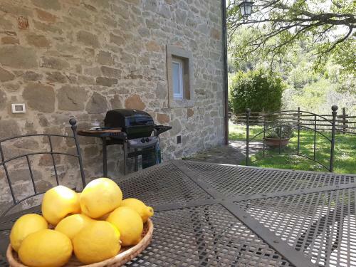 Tuscany Villa Galearpe