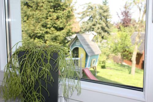 Apartamento Ferienwohnung Friedrich