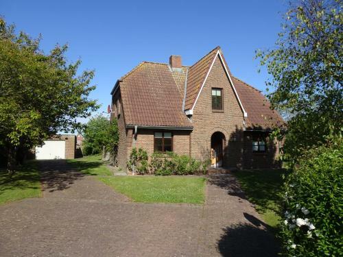 Kegelrobbe