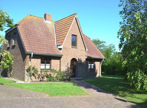 Kegelrobbe