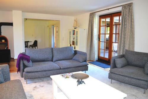 Kegelrobbe