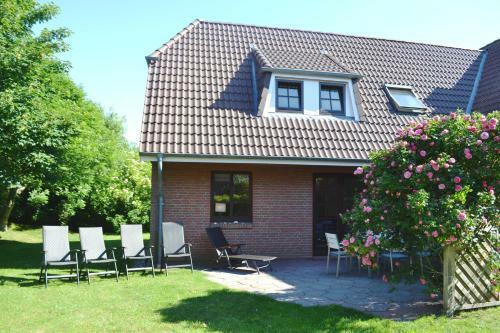 Kegelrobbe