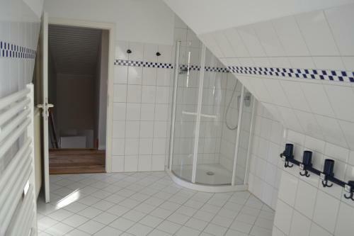 Kegelrobbe