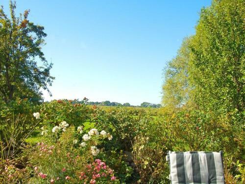 Apartamento Froschk�nig