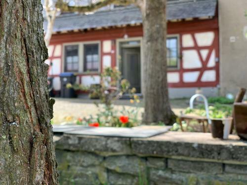 Altes Zehnthaus Geierlay