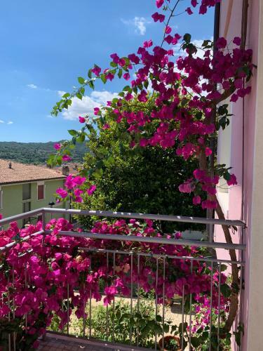 Hostal B&B Ai Colli