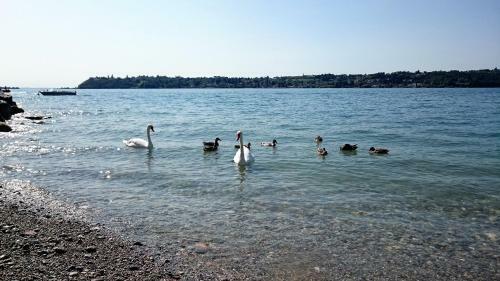 Apartamento Brezza Di Lago