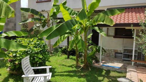Apartamento Il Caminetto Di Mario
