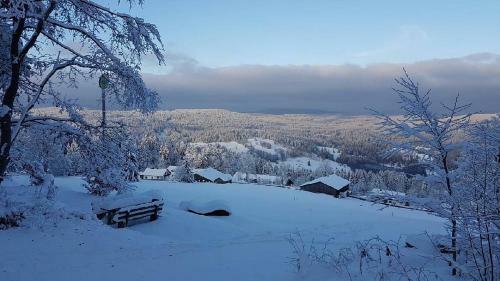 Horsk� Apartm�n Almberg