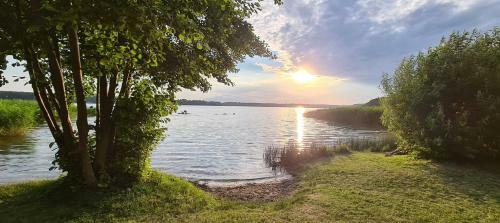 Apartamento Ferienhaus Am Birkenwaeldchen - Motzener See 150m