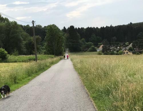 Apartamento Ferienwohnung Baldus-westerwald