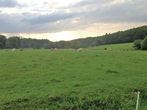Apartamento Ferienwohnung Baldus-westerwald