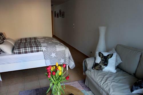 Apartamento Ferienwohnung M�llner Altstadt