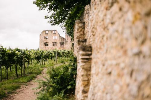Weinzuhause Hotel-restaurant-vinothek