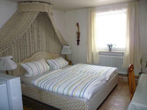 Hostal Gasthaus - Pension Am Buchberg