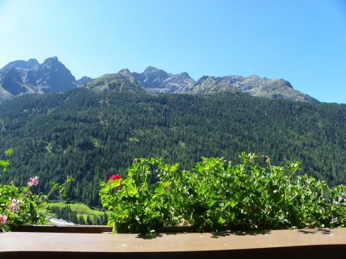 Hotel Gasthof Sch�pf