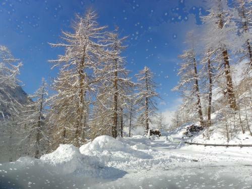 Hotel Gasthof Sch�pf