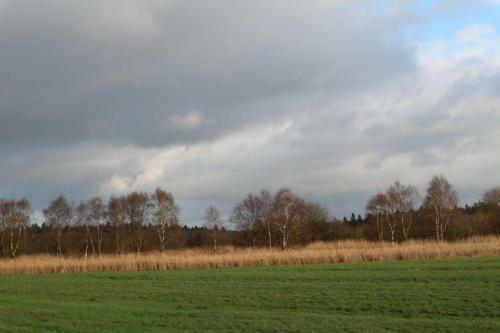 Apartamento Ferienwohnung Waldblick Auf Dem Ferienhof Eschen
