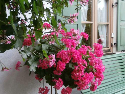 Apartamento Haus Alois