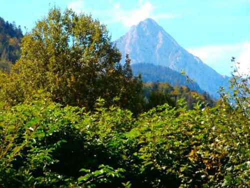 Apartamento Haus Alois
