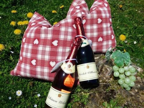 Apartamento Haus Am Hochwald