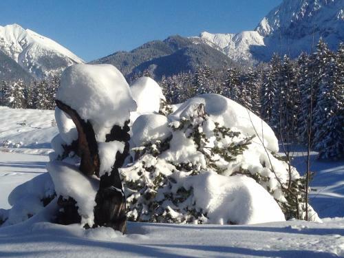 Apartamento Alpenfreund