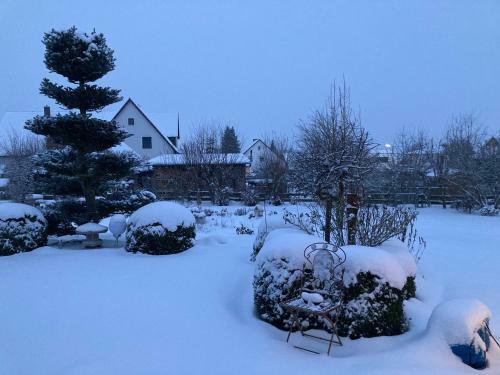 Apartamentos Ferienwohnung Sch�tz