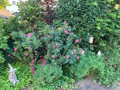 Apartamentos Ferienwohnung Sch�tz