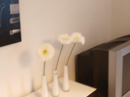 Apartamento Appartment Grau Im Gr�nen
