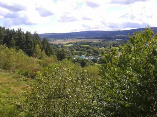 Apartamento Ferienwohnung Hochwaldblick 1