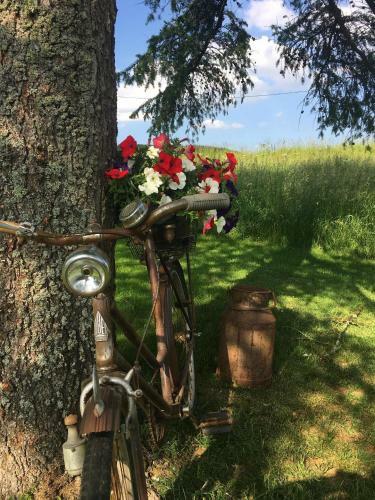 Apartamento Ferienwohnung Elisabeth Eifel