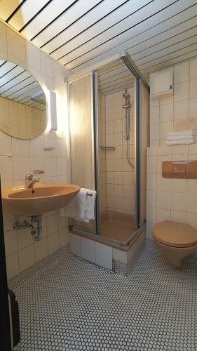 Hotel Goldener Hirsch Mosbach