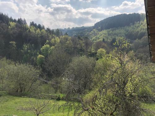 Apartamento Haus Kierberg