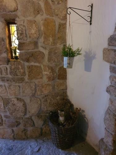 Hostal Zum Ewigen Rath