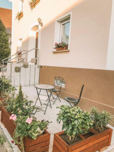 Apartamento Creek House
