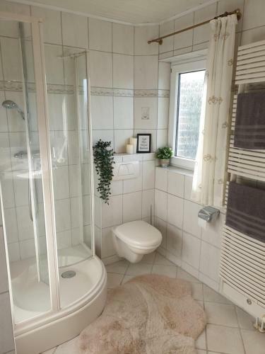 Ferienhaus Rokahr