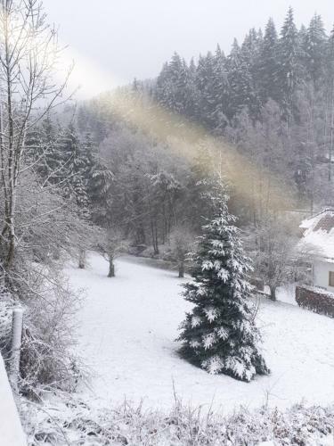 Apartamento Familiehuis Dolve