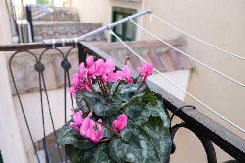 Apartamento Arcadia 55
