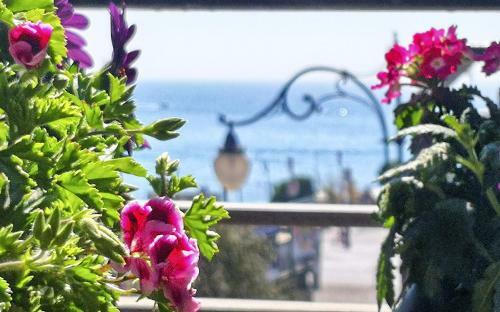Bed & Breakfast La Collina Dei Ciliegi