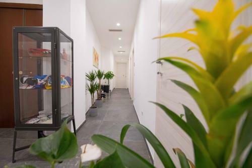 Bed & Breakfast Quattro Briganti