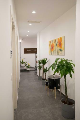 Bed & Breakfast Quattro Briganti