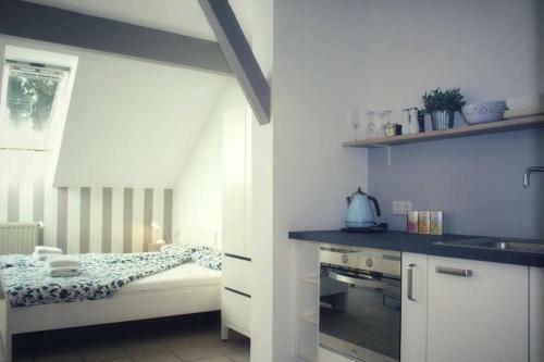Apartment Im Sch�nen M�nster #5