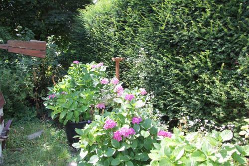 Bed & Breakfast Das Landhotel Zur M�hle