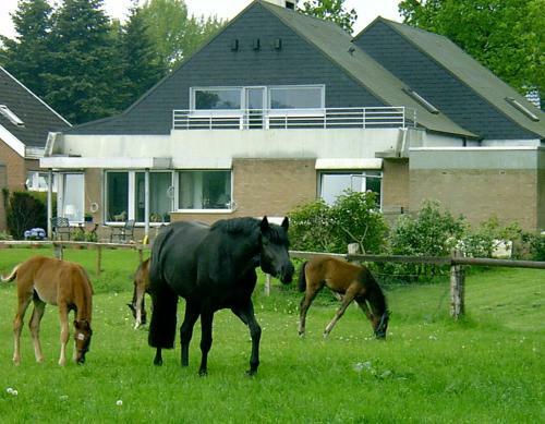 Apartamento Stadt Trifft Land