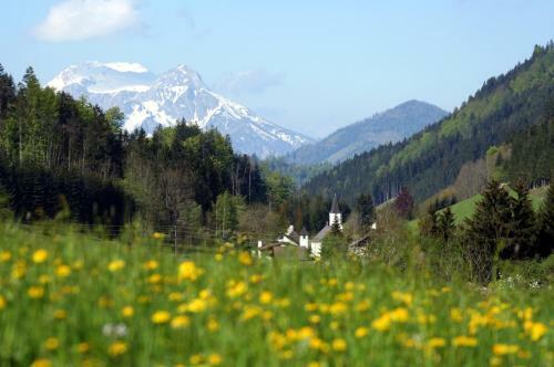Alpenhotel Ensmann