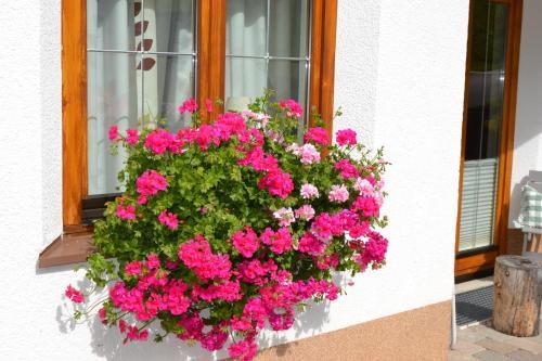 Apartamento Gundolf Appartement