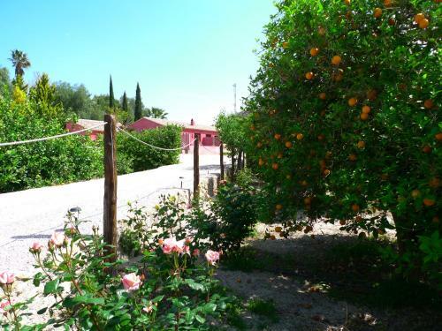 Apartamento La Joya Del Valle De Ricote