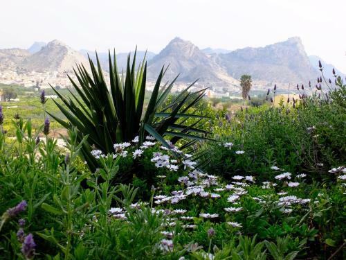Apartamento La Joya Del Valle De Ricote