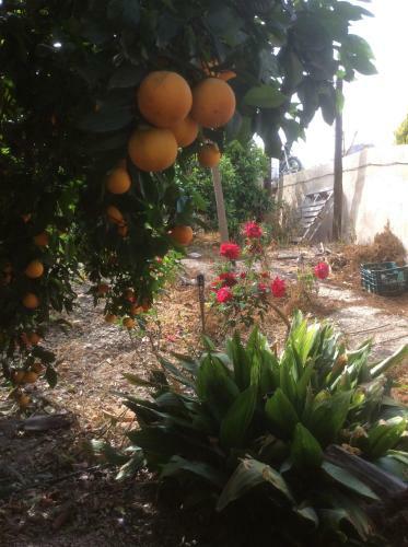 Apartamento La Joya Del Valle De Ricote